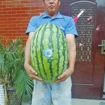 熱門大瓜每日大賽,揭秘娛樂圈最新爆料，大賽精彩瞬間回顧